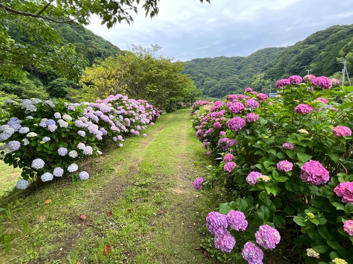 Villa Ｋａｏｒｕ　Ｉｎｎ Minamiizu Exterior foto